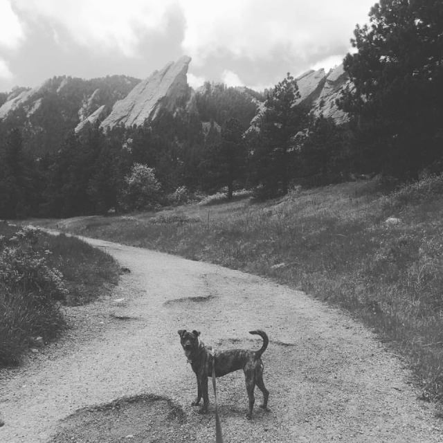 13336091_10104984067585409_5432835026513755757_n